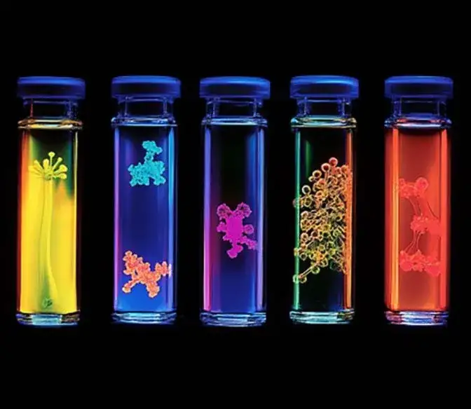 Nature：光影真相vs算法幻象，AI时代的科学摄影