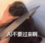 有问题找小红书，也不行了...