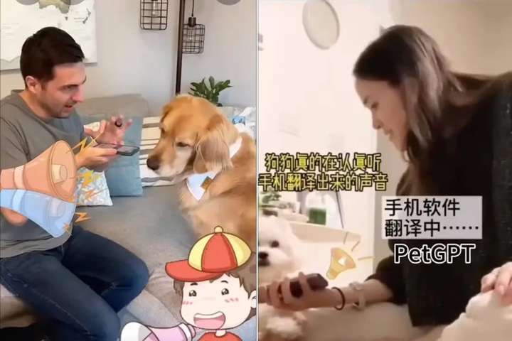 全球首个宠物翻译器，上线爆火