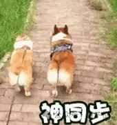 阿里通义开源首个CoT音频模型，音·画同步被狠狠拿捏了