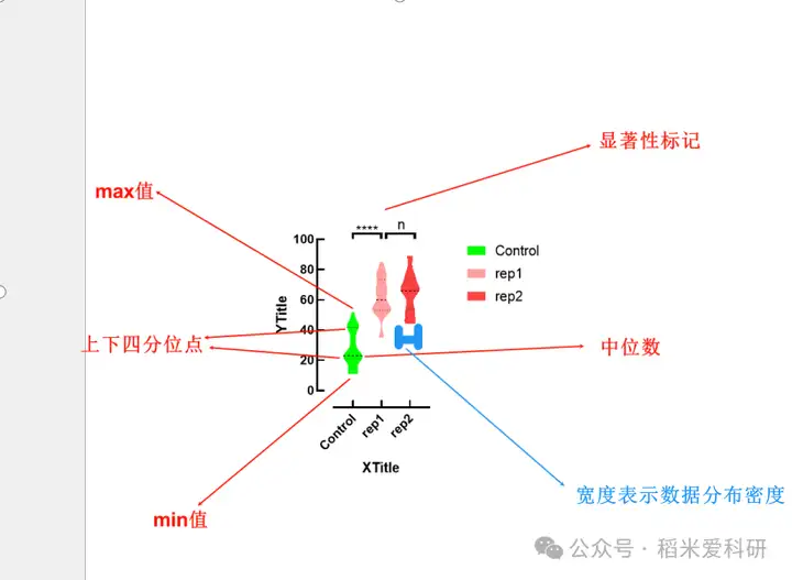 统计中的小提琴图怎么解释?