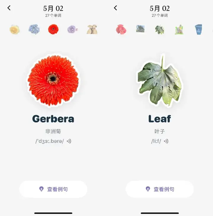 被多邻国“追杀”的我，逃到了这款爆款AI应用学英语
