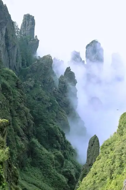 丽水旅游景点哪里好玩（浙江丽水旅游攻略必去景点）