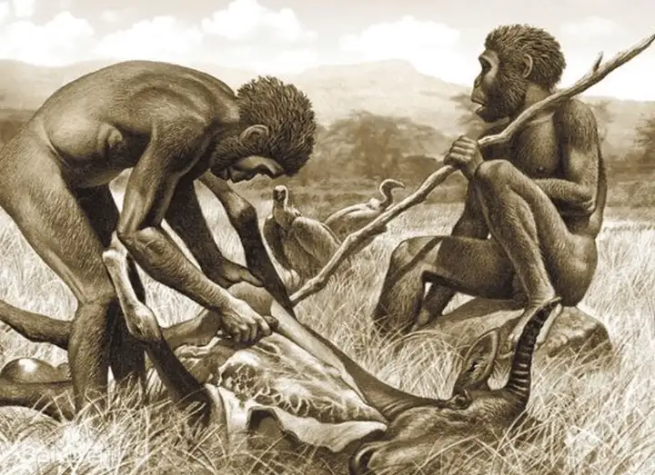 人类的祖先是谁（3分钟读懂人类的进化史）