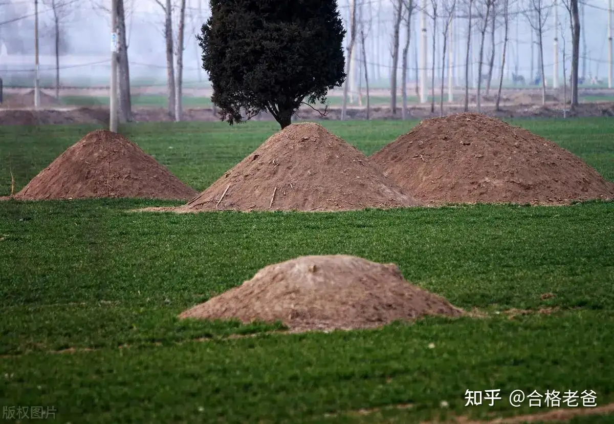 为什么中国人对谈论「死亡」和「丧葬」总是讳莫如深？