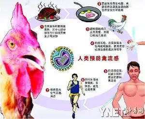 广东中山报告 1 例 H3N8 病例，目前情况怎样？如何防治禽流感病毒？
