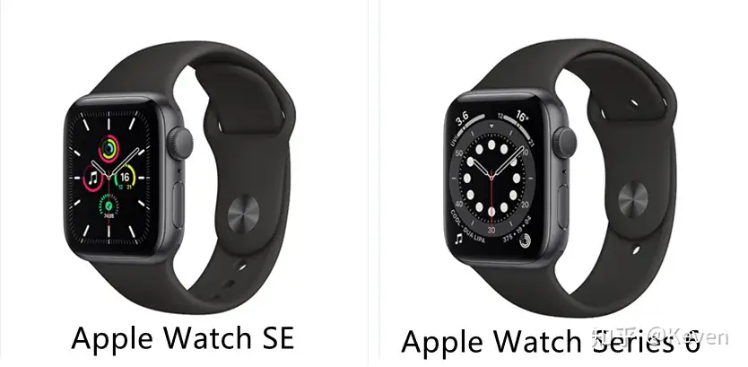 买Apple Watch 6还是Apple Watch SE? - 知乎