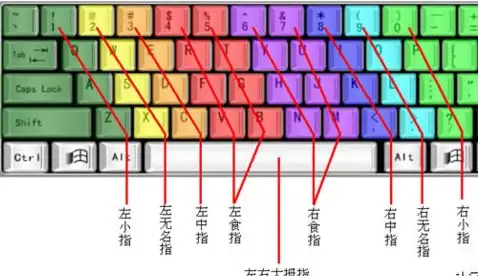 电脑教学入门教程（电脑基础知识教程自学）