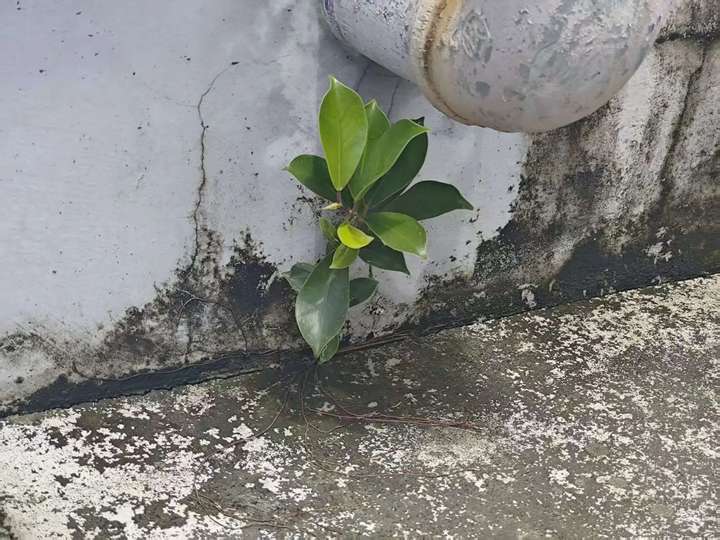 焦虑压力缓解方法有哪些？分享一些实用技巧