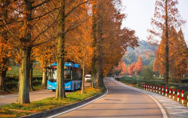 原创(旅行体验师是怎样一种职业?)旅行体验师是什么意思2023已更新 第13张 原创(旅行体验师是怎样一种职业?)旅行体验师是什么意思2023已更新 第13张