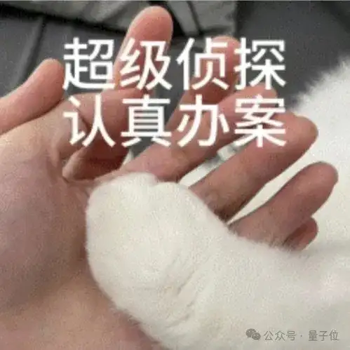 只因一个“:”，大模型全军覆没