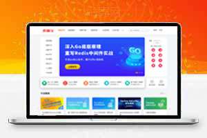 高级资源付费系统，视频教程，问答系统，付费下载等