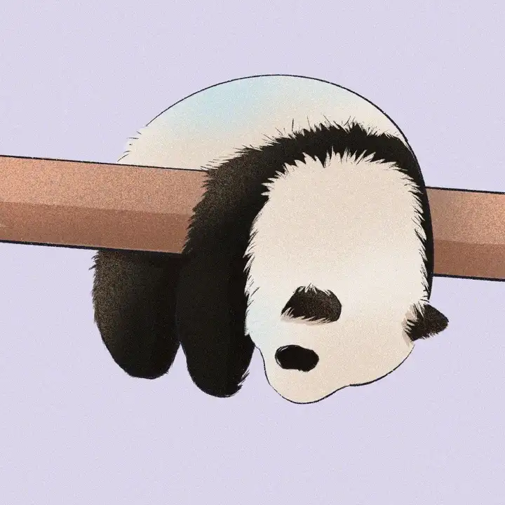 有没有什么惊艳的微信头像？
