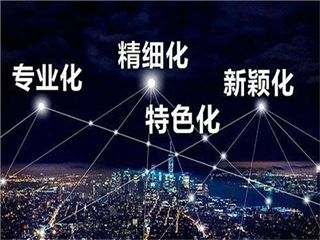 專精特新認(rèn)定評分標(biāo)準(zhǔn)