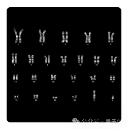 OpenAI首个蛋白质模型披露更多细节，改进诺奖研究成果，表达量提升50倍