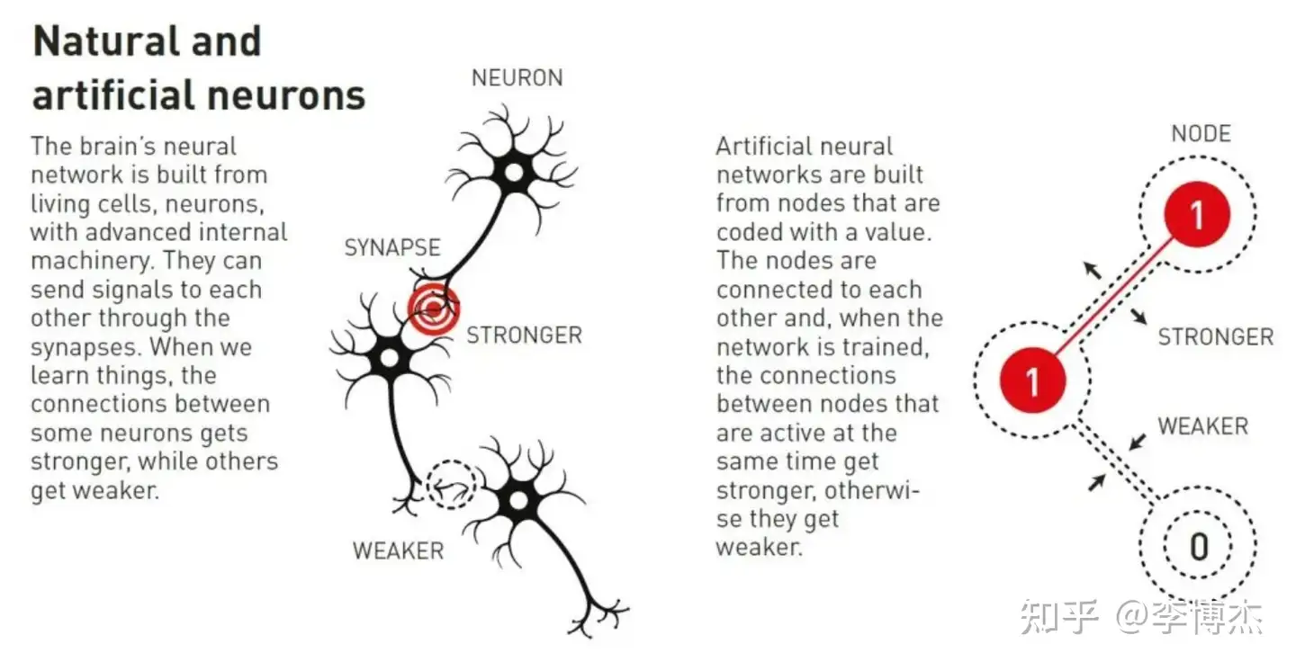 Illustration of natural and artificial neurons