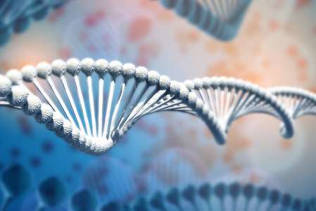 都说生物的基因像屎山代码，那在演化史上有没有屎山被推倒重构的案例？