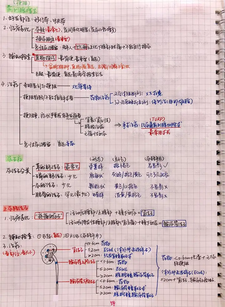 外科手写笔记.pdf