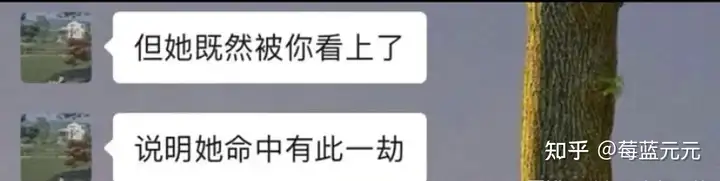 图片[110]-有哪些让人笑到肚子疼的搞笑图片？