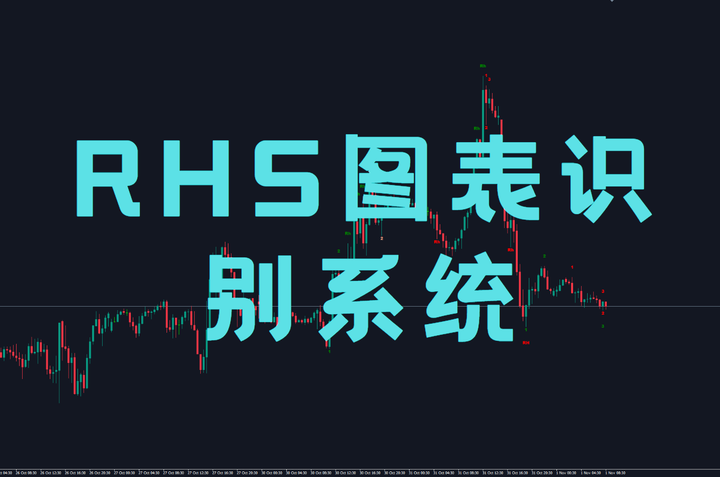 RHS图表识别系统