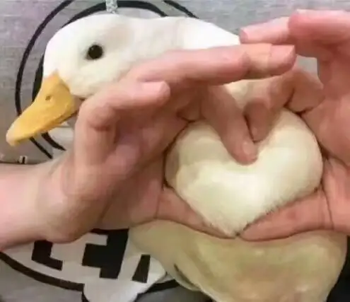 女生怎么看待在KTV陪酒的少爷？丨女生怎么看待在ktv陪酒的少爷呢