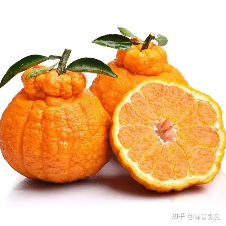 丑橘的营养价值有哪些? - 知乎