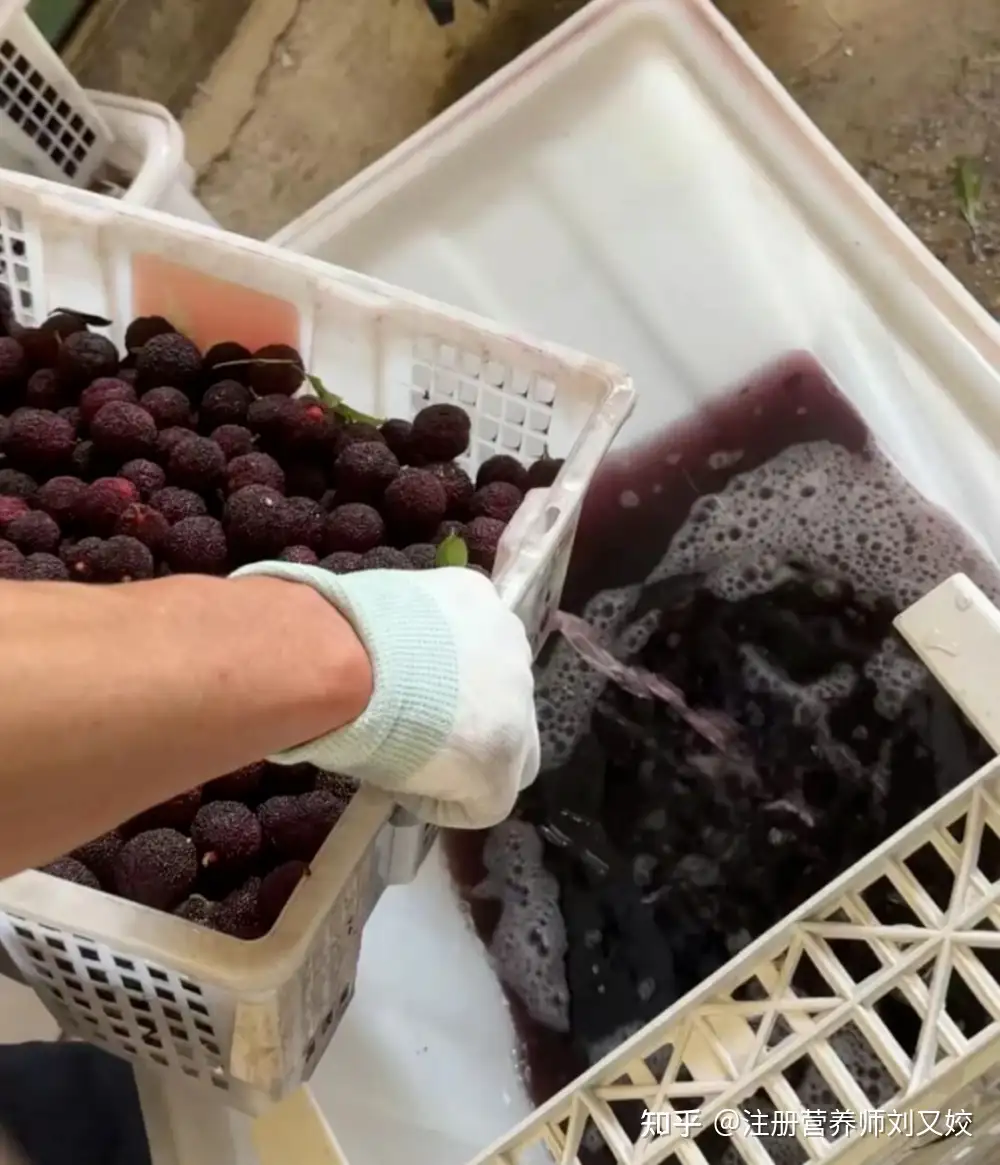记者曝光商贩给杨梅浸泡 8000 倍超甜三无添加剂和防腐剂，食用后对健康有哪些影响？怎样辨别这类杨梅？