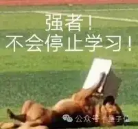 嚯！国产视频模型的物理水准超神了 | 实测MiniMax海螺02