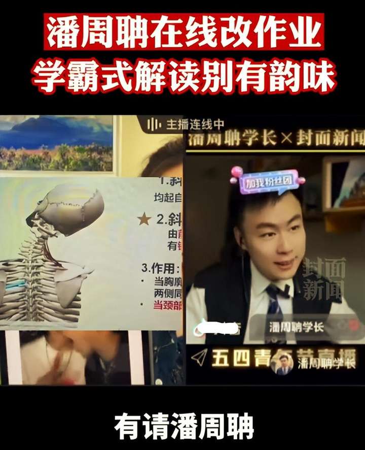 潘周聃什么梗？为什么潘周聃突然火了