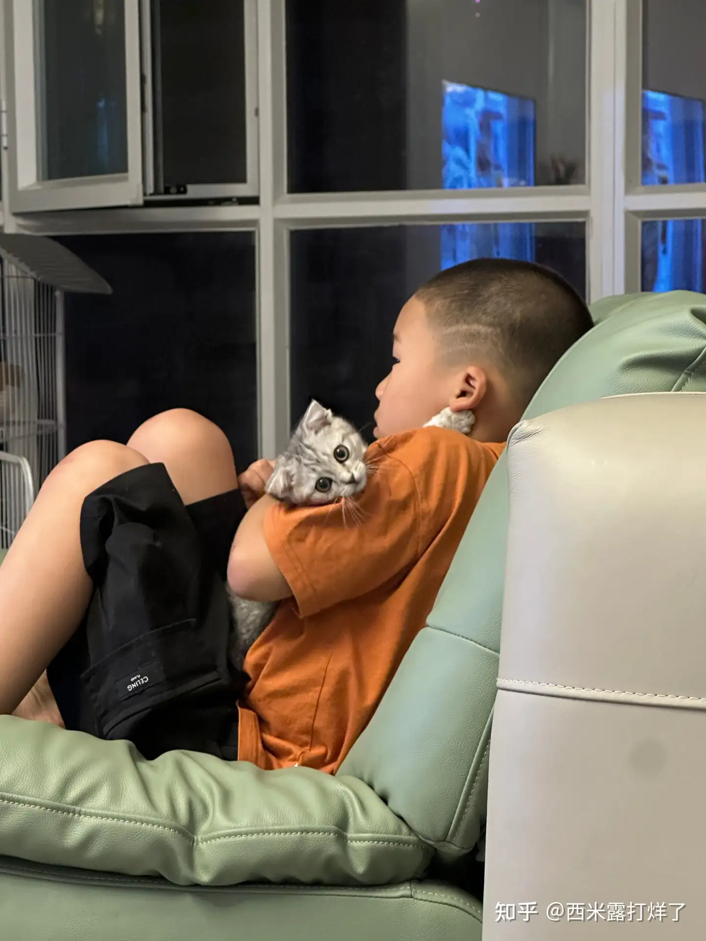 为什么国内的大多数父母，都很反对孩子养宠物？