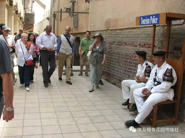 今年8月跟团去埃及旅游，埃及安全吗？