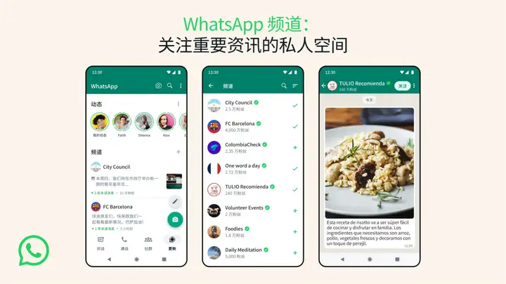 WhatsApp频道，查看喜欢的频道，了解最新动态