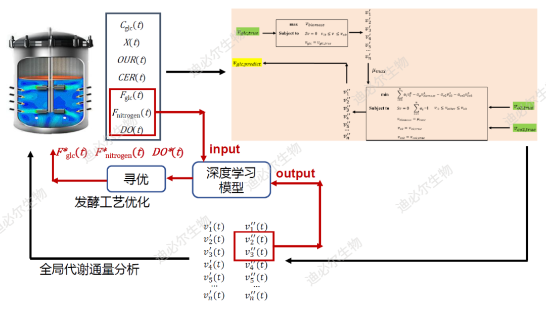AI合成生物学，是颠覆还是炒作？这四大领域，已率先爆发！