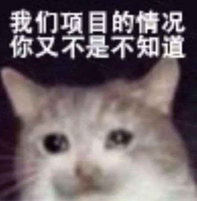 我发现了一个几乎不可能被 AI 替代的工作