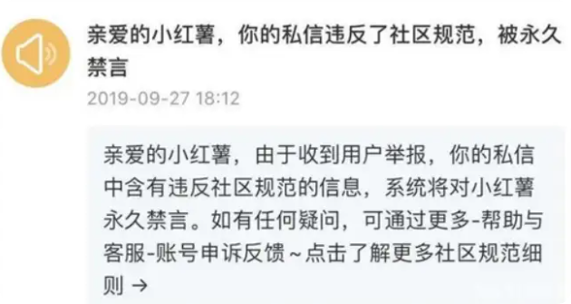 图片[11]-小红书引流野路子实战分享-五柳网