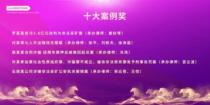 刑铸法治 骏启新程｜大成刑委会2025年会盛典耀启邕城