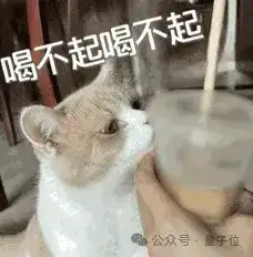 新晋顶流Agent颠覆设计师！Lovart一手实测来了：是该刷屏爆火