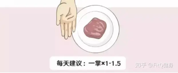 晚上不吃饭真的可以减肥么？还是晚上少吃一点好？