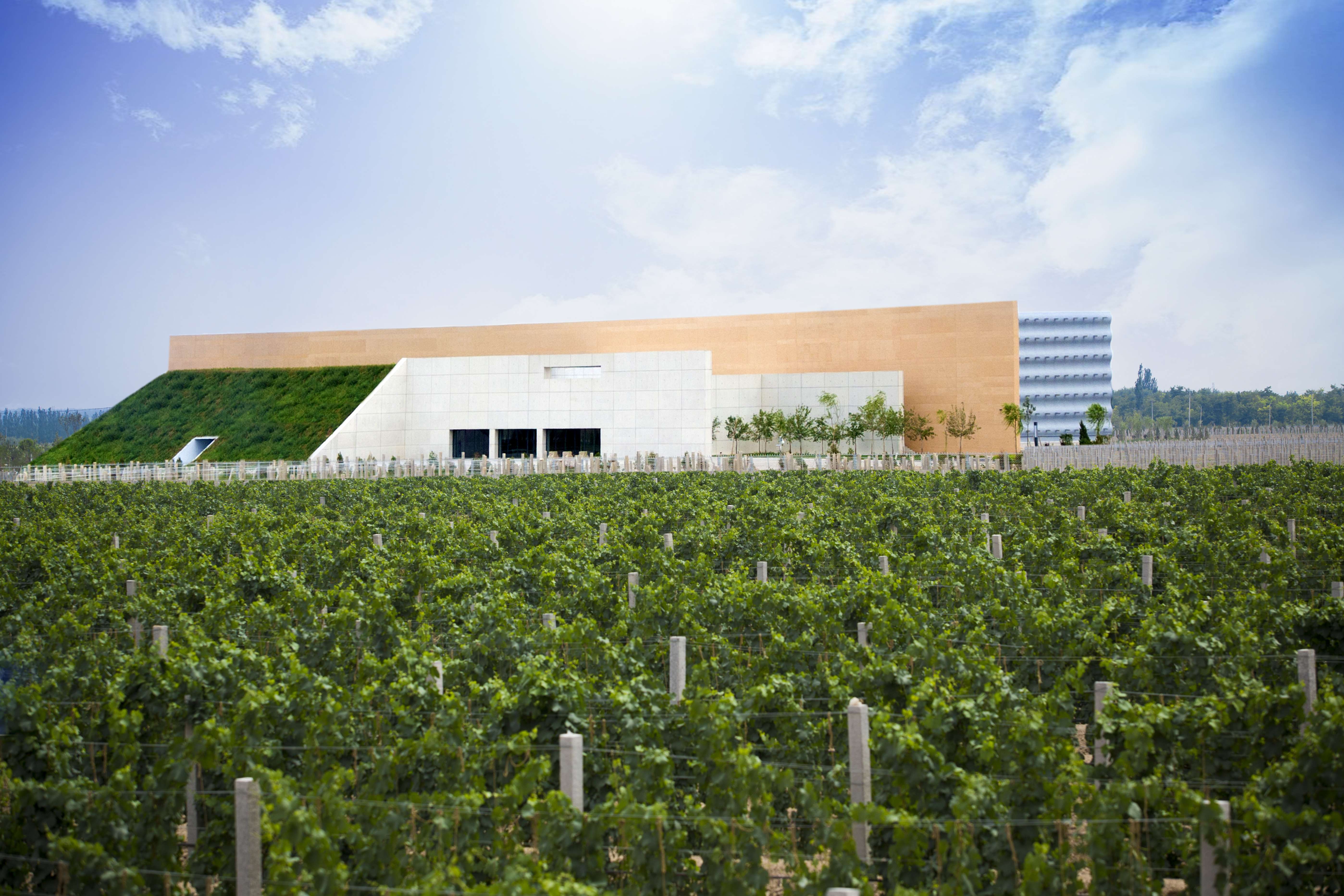 郑小塔 的想法: 春节里没闲着,把夏天宁夏葡萄酒庄旅游的… - 知乎