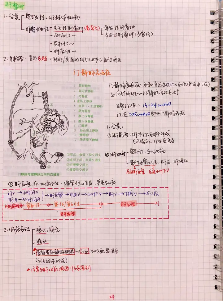 外科手写笔记.pdf