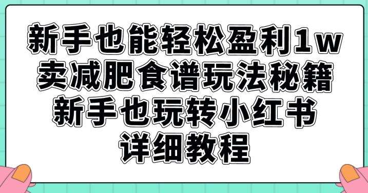 图片[1]-卖减肥食谱轻松盈利1W【详细教程】-暗冰资源网