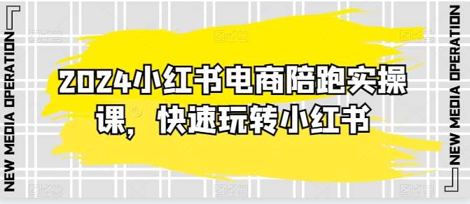 [电商] 2024小红书电商实操教程【20节精细化课程】风筝自习室-课程资源-网盘资源风筝自习室