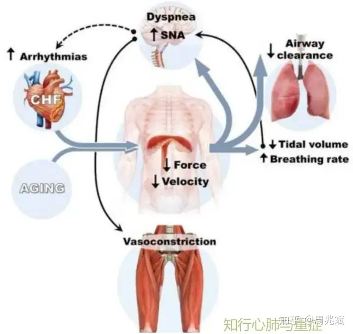 憨词渐郁瓶膈醉杖能钥绞，9溉醉辑脊贾捅！(图2)