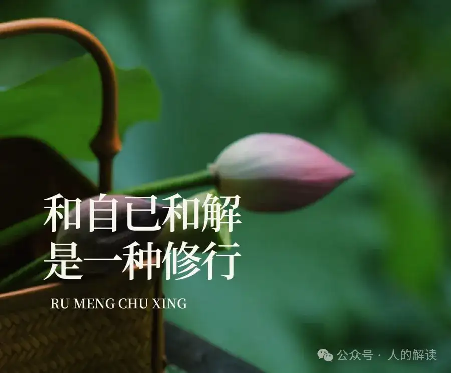 修行的第一步是与自己和解-人的解读