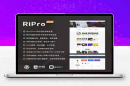 Ripro9.2破解版，独家免扩展版和解密版