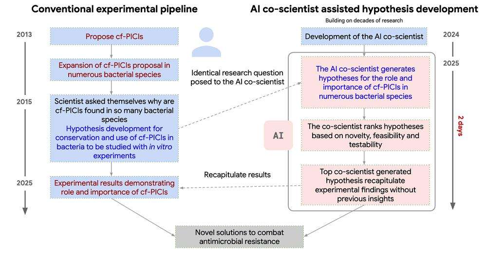 10年科学谜团，被谷歌“AI科学家”2天解决了