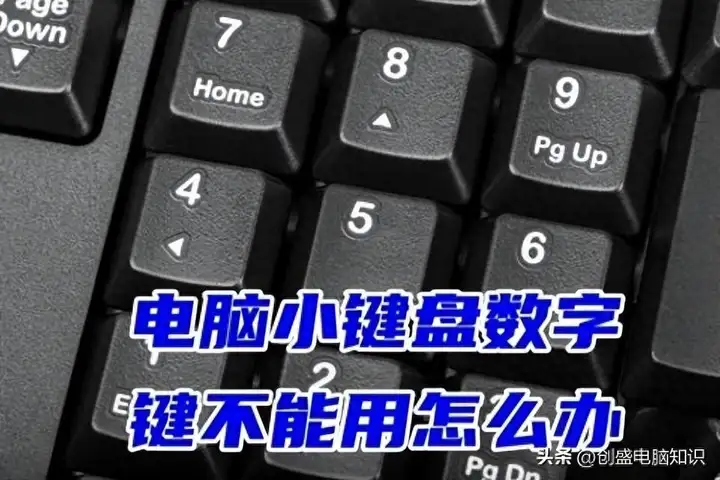 笔记本电脑数字键打不出数字（电脑数字键不能用的恢复方法）