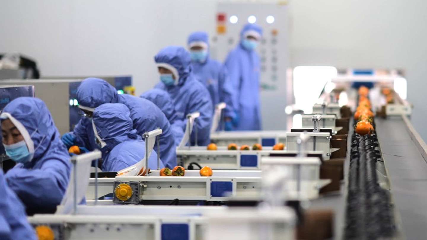 乡村全面振兴实践样本：从资源聚变到产业裂变