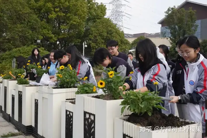 播種綠色希望 共建美麗校園 | 我校塘棲校區(qū)開展植樹節(jié)活動(dòng)！(圖8)