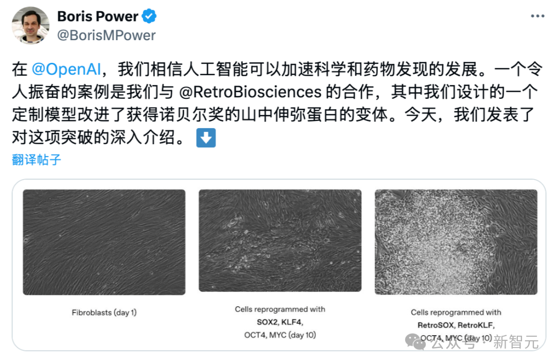 OpenAI用GPT-4b攻克诺奖难题！人体细胞「返老还童」，逆转效率飙升50倍